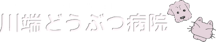 川端どうぶつ病院 | 河内長野市の動物病院